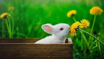 漳州伴游,定制QQ:3494206190微信:act1322